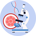 胚胎植入前遗传学筛查/诊断
